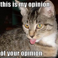 Opinion
